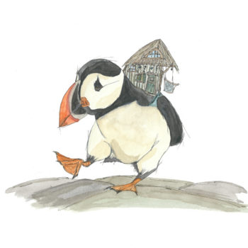 Puffin 800x800 Puffin 800x800